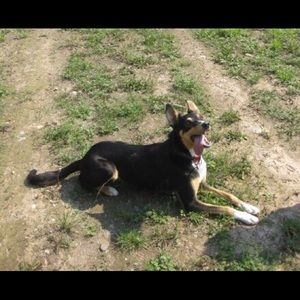 Meet your Posher, Linda